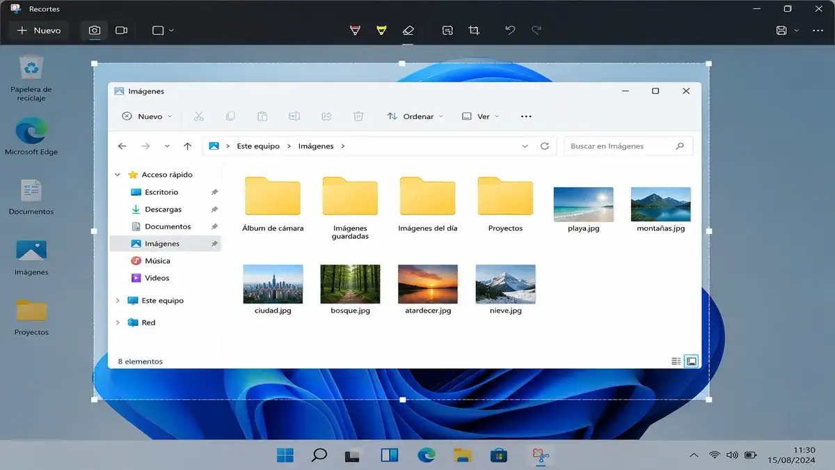 Cómo hacer una captura de pantalla en Windows